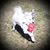 Dawn Oxnard's profile image