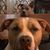Becka Clanton's profile image