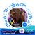 Jacqueline Perez's profile image