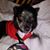 Dawn Marie Matteson's profile image