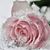 Loretta Carpenter's profile image
