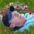 Geary Guy's profile image