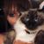 Mandy Howington's profile image