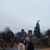 Virginia Petrone-Puleo's profile image