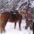 David-Karen Nelson's profile image