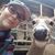 Jenna French Boucher's profile image