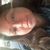Sherry Reyna's profile image