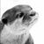 Rob-Kimberly Brooks's profile image