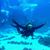 Susan Oglesby's profile image