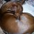 Rozzanne Reetz Perryman's profile image