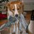 Janet Messner Collins's profile image