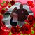 Carmen Lucero Lopez's profile image