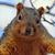 Jennifer Harwood Utas's profile image