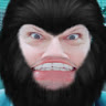 SaddQ's profile image