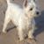 David Cranston's profile image