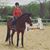 Patti Lechmanik's profile image