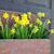 Sharon Haley Galipeau's profile image