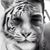 Jason D Jones's profile image