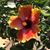 Marimel Mapanao Dunn's profile image