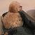 Diane Jones Dunagan's profile image