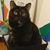 Jill Neiswender's profile image