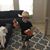 Colleen Schleicher's profile image