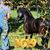 Leeana Hackworth's profile image