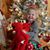 Nicole Sucevich's profile image