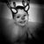 Steve Walker's profile image