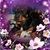 Gustavo Huilca's profile image