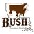 Ashley Bush's profile image