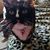 Melissa Walker's profile image