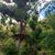 Nadia Hussain's profile image