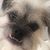 Billy Dean's profile image
