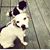 Allison Dearth's profile image