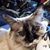 Melanie Hetrick's profile image