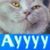 Ben Macken's profile image