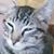 Bubba Chapman's profile image