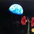 Diane Bostow's profile image