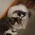 Birdie Zawada Folsom's profile image