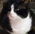 Roberta Clark's profile image