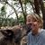 Debbie Schubert's profile image