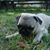 Karen Arven Fritts's profile image