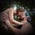 Amanda Kelley Shelton's profile image