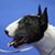 Darren Hensley's profile image