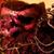 Stephanie Brooke-Werley's profile image
