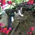 Sharon Collins's profile image