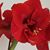 Patty Rowan's profile image
