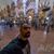 Adel Madbouly's profile image