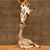 Mary Garfield Busch's profile image